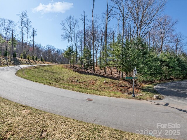 505 Hollow Trl, Asheville, NC 28803 - photo 3