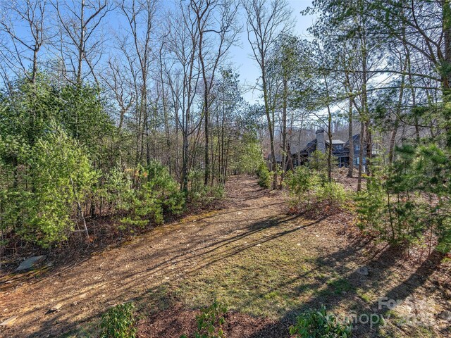 505 Hollow Trl, Asheville, NC 28803 - photo 4