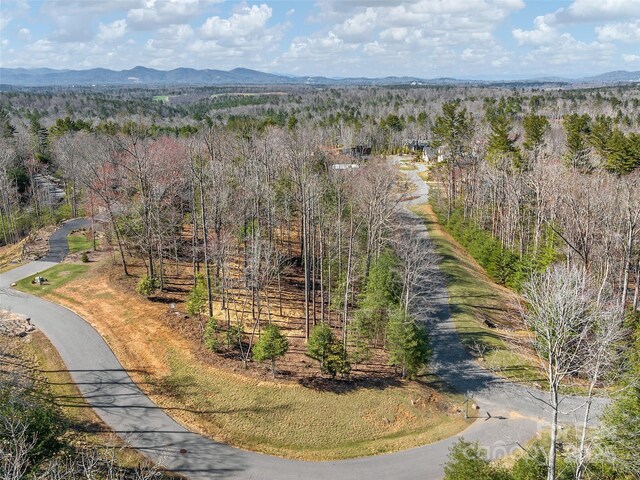 505 Hollow Trl, Asheville, NC 28803 - photo 5