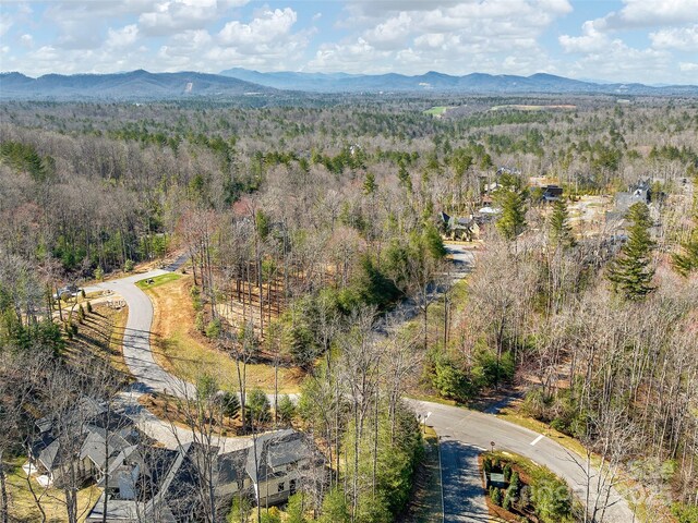505 Hollow Trl, Asheville, NC 28803 - photo 6