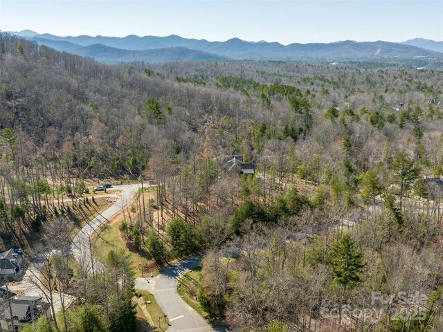 505 Hollow Trl, Asheville, NC 28803 - photo 7