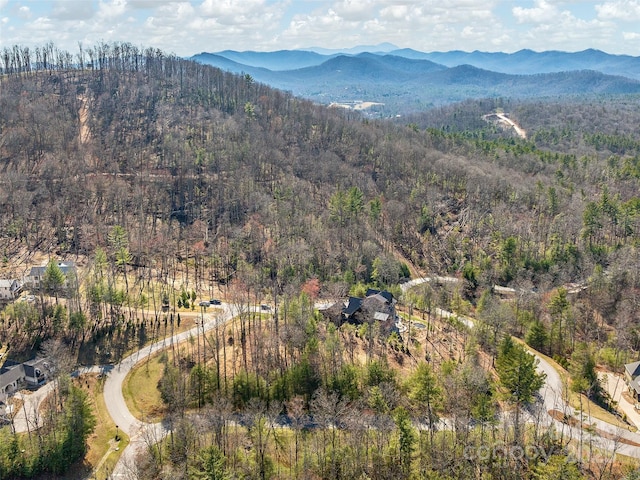 505 Hollow Trl, Asheville, NC 28803 - photo 8