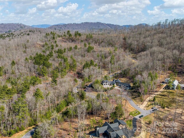 505 Hollow Trl, Asheville, NC 28803 - photo 9