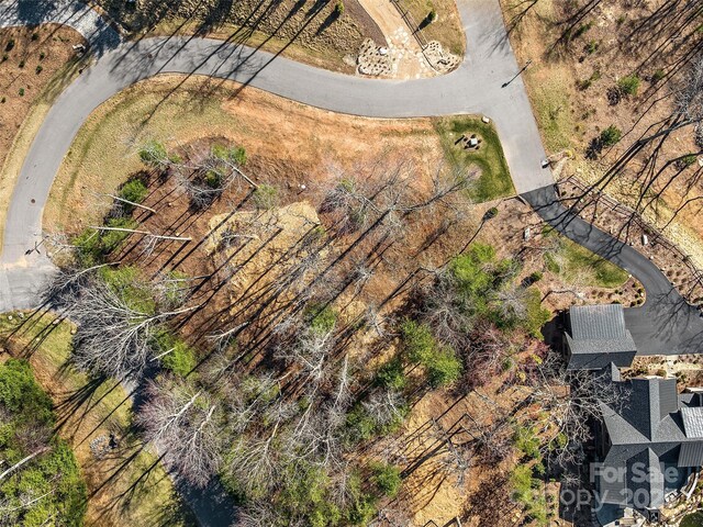 505 Hollow Trl, Asheville, NC 28803 - photo 10