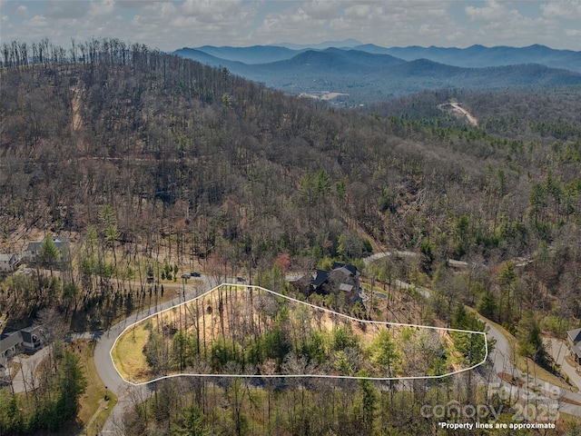505 Hollow Trl, Asheville, NC 28803 - photo 11
