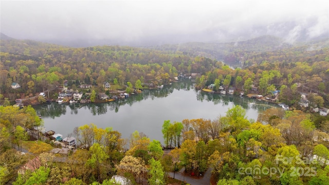 2694 W Lakeshore Dr, Landrum, SC 29356 - aerial overview of property's location featuring a water and mountain view and a forest