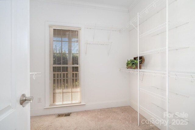walk in closet with carpet floors and visible vents