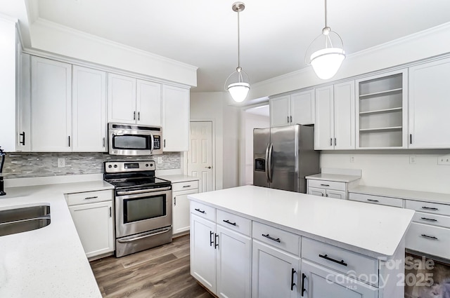 10434 Henbane Ct, Charlotte, NC 28213 - kitchen featuring light countertops, ornamental molding, wood finished floors, and stainless steel appliances