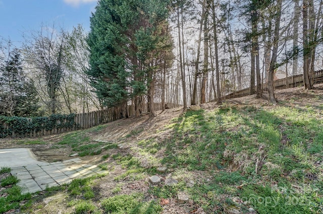 10434 Henbane Ct, Charlotte, NC 28213 - view of yard featuring a fenced backyard