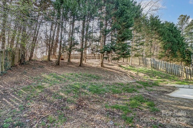 10434 Henbane Ct, Charlotte, NC 28213 - view of yard featuring a fenced backyard
