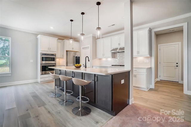 522 Fern Hill Rd Unit 17, Mooresville, NC 28117 - kitchen with ornamental molding, under cabinet range hood, light wood-style floors, visible vents, and appliances with stainless steel finishes