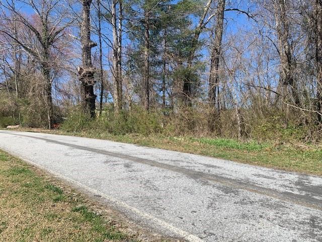 LOTS1 Country Club Rd Unit 1 & 2, Hendersonville, NC 28739 - photo 1