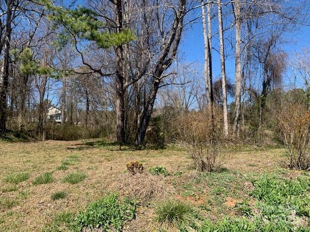LOTS1 Country Club Rd Unit 1 & 2, Hendersonville, NC 28739 - photo 12
