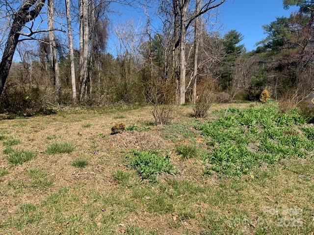 LOTS1 Country Club Rd Unit 1 & 2, Hendersonville, NC 28739 - photo 34