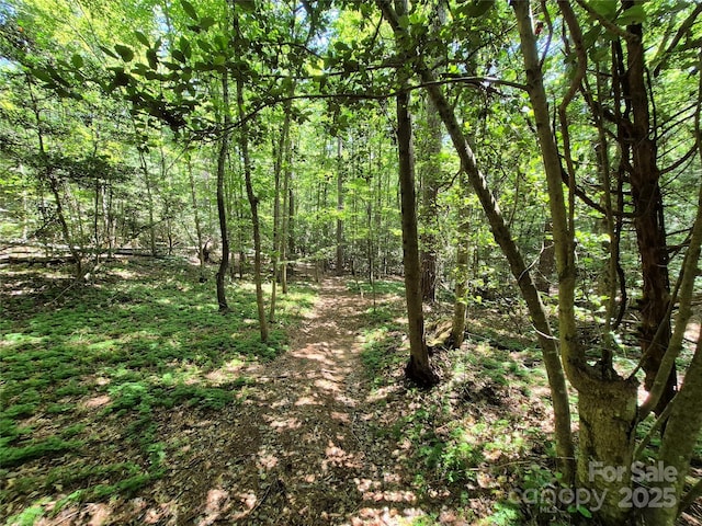 000 16th St NE, Hickory, NC 28601 - photo 5