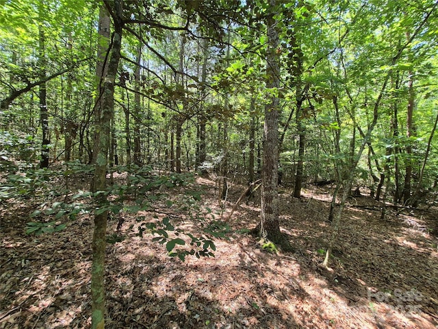 000 16th St NE, Hickory, NC 28601 - photo 17