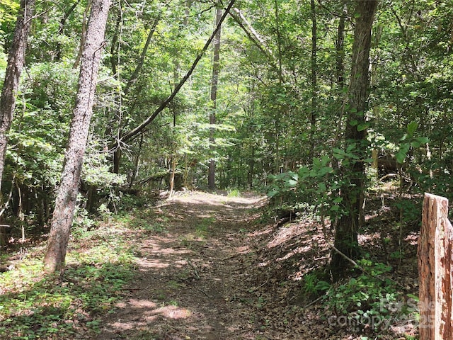000 16th St NE, Hickory, NC 28601 - photo 18