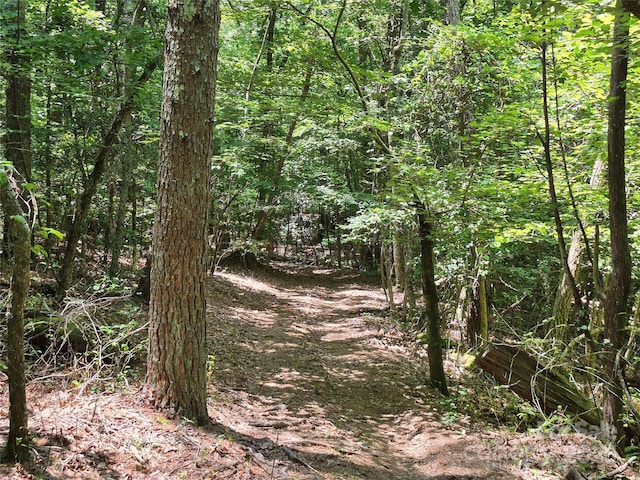 000 16th St NE, Hickory, NC 28601 - photo 19