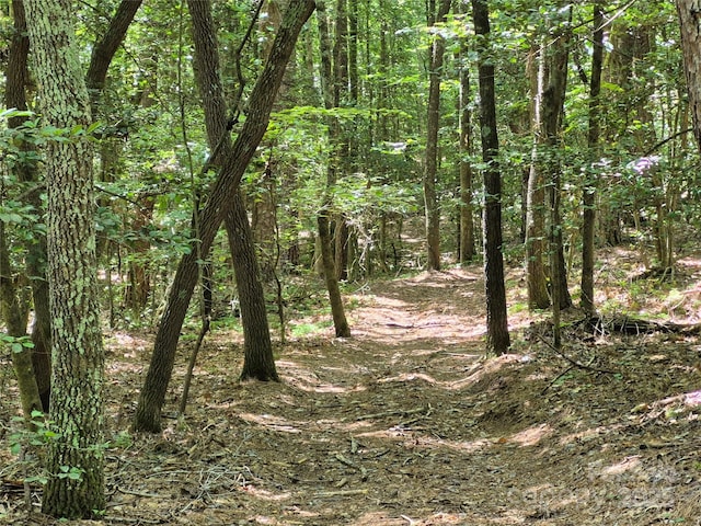 000 16th St NE, Hickory, NC 28601 - photo 23