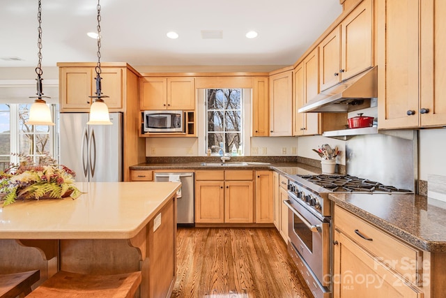315 Jocassee Trl, Sapphire, NC 28774 - kitchen with under cabinet range hood, light wood-style flooring, stainless steel appliances, and light brown cabinetry