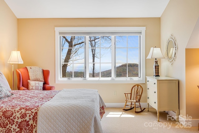 315 Jocassee Trl, Sapphire, NC 28774 - bedroom featuring multiple windows, carpet flooring, and baseboards