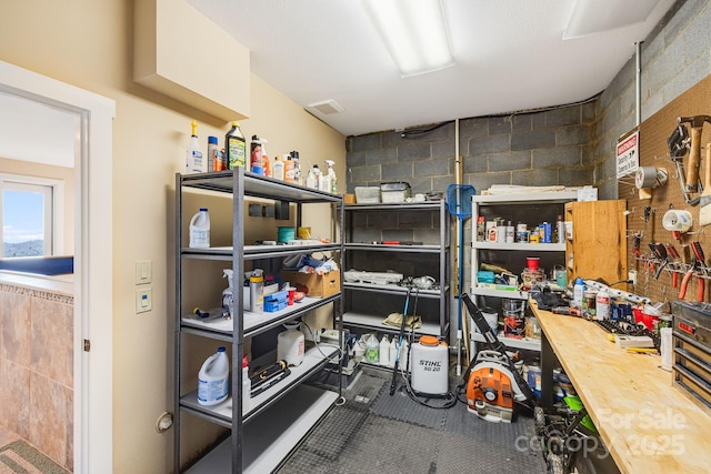 315 Jocassee Trl, Sapphire, NC 28774 - storage with visible vents