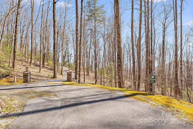 315 Jocassee Trl, Sapphire, NC 28774 - view of road