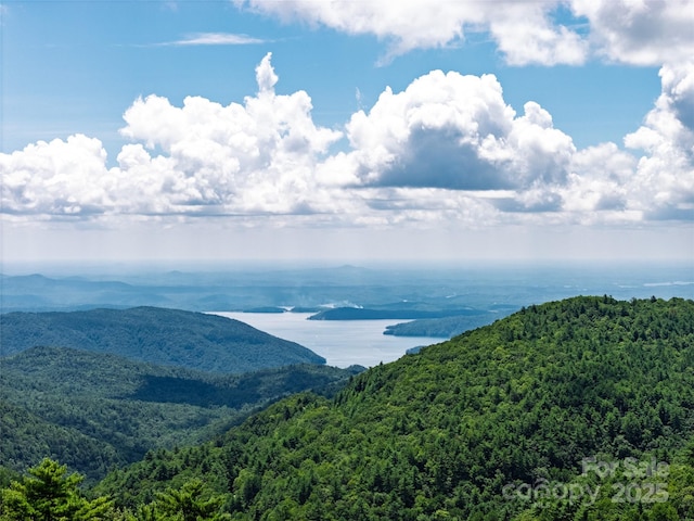 315 Jocassee Trl, Sapphire, NC 28774 - photo 8