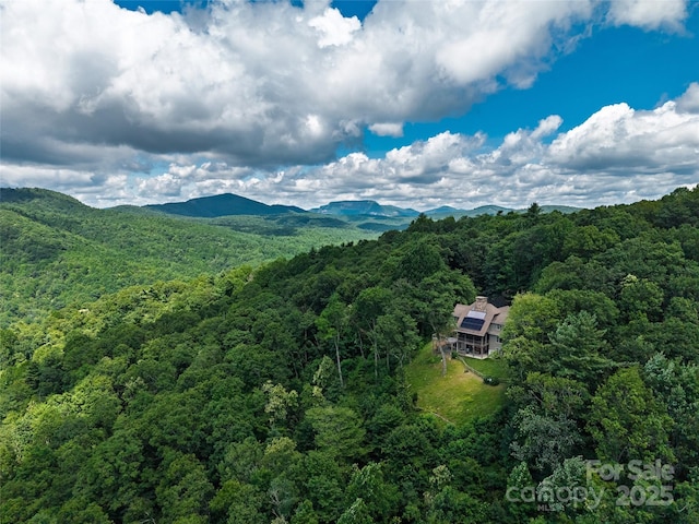 315 Jocassee Trl, Sapphire, NC 28774 - photo 9