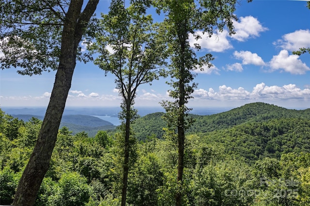 315 Jocassee Trl, Sapphire, NC 28774 - photo 26