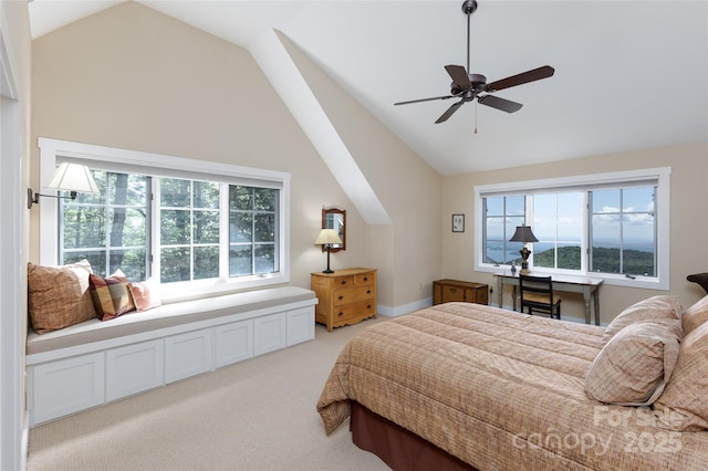 315 Jocassee Trl, Sapphire, NC 28774 - photo 27