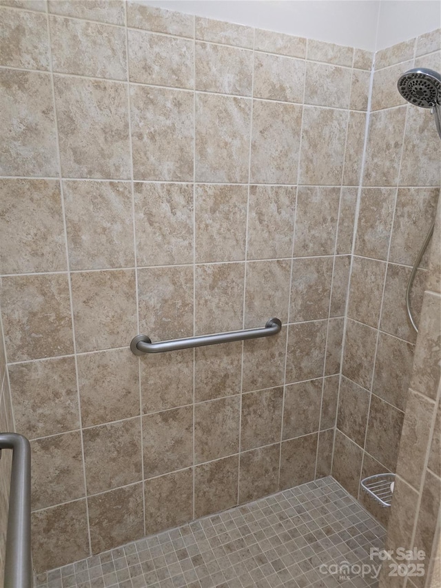 1112 Avalon Pl, Stallings, NC 28104 - bathroom featuring tiled shower
