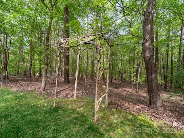 view of local wilderness with a wooded view
