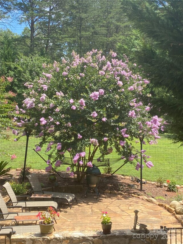 1308 Moonshadow Ln, Shelby, NC 28150 - view of yard featuring a patio area