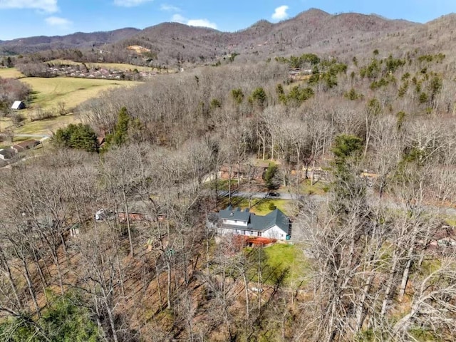 property view of mountains