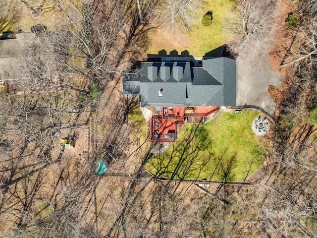 drone / aerial view