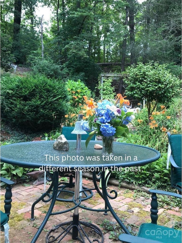 1506 Lynn Rd, Columbus, NC 28722 - view of yard