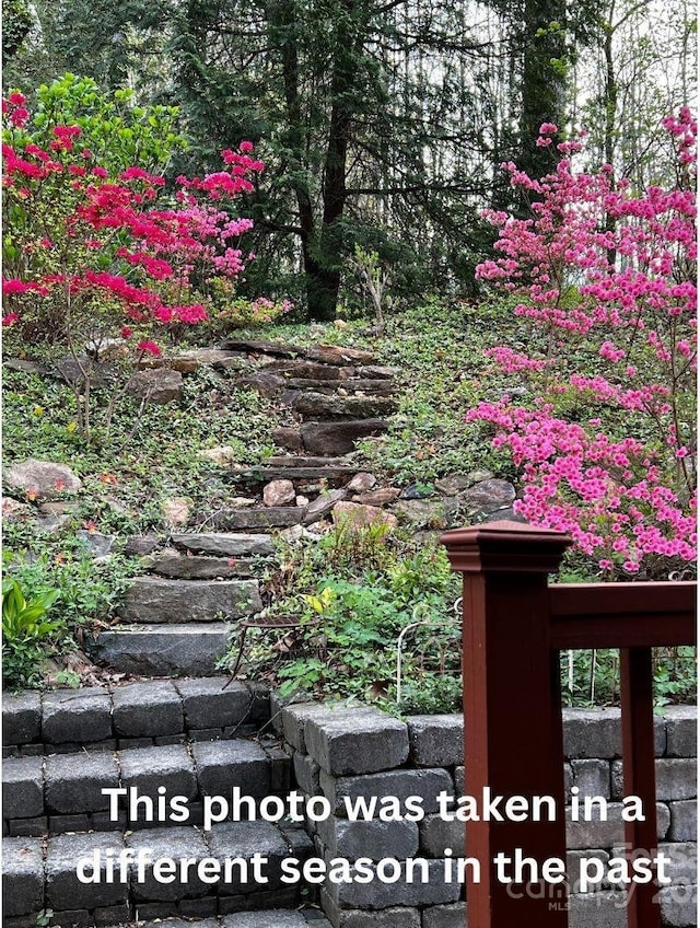 1506 Lynn Rd, Columbus, NC 28722 - view of yard