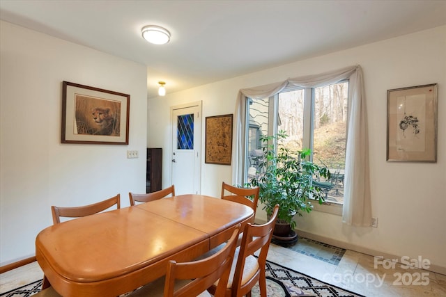 1506 Lynn Rd, Columbus, NC 28722 - dining room with baseboards