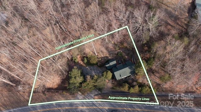 1506 Lynn Rd, Columbus, NC 28722 - view of property location with property parcel outlined