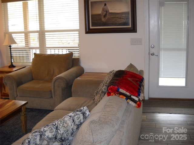 992 Hornet Dr, Whittier, NC 28789 - living room with wood finished floors