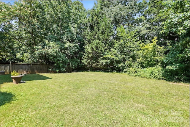 5807 Mctaggart Ln, Charlotte, NC 28269 - view of yard