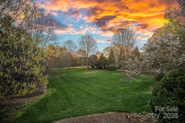 19117 Davidson Concord Rd, Davidson, NC 28036 - yard at dusk with a lawn