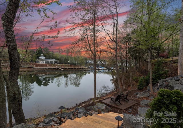 21311 Baltic Dr, Cornelius, NC 28031 - water view with a dock