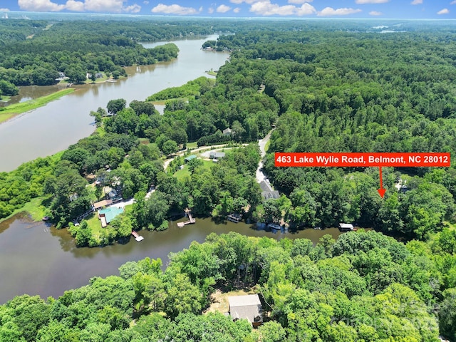 463 Lake Wylie Rd, Belmont, NC 28012 - view of property location with a forest and a large body of water