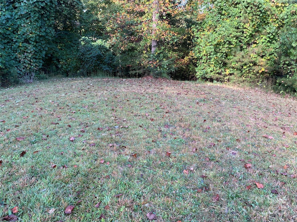 0 Rachel Bell Road E Lot 24, Mill Spring, NC 28756 - photo 2