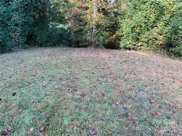 0 Rachel Bell Road E Lot 24, Mill Spring, NC 28756 - photo 2