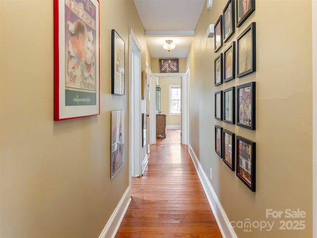 7 Temple Ave, Asheville, NC 28804 - photo 11