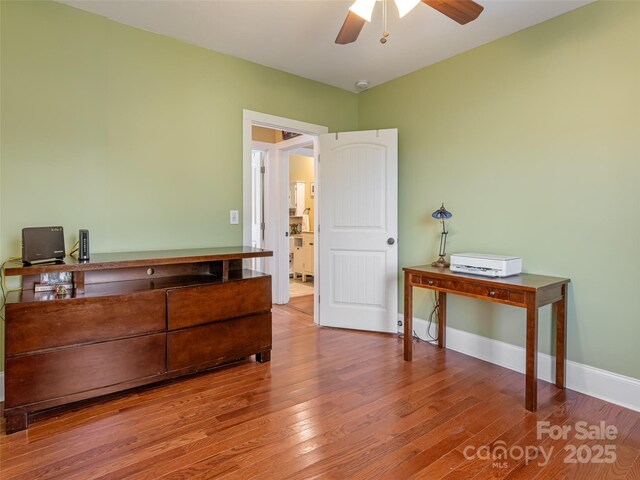 7 Temple Ave, Asheville, NC 28804 - photo 17