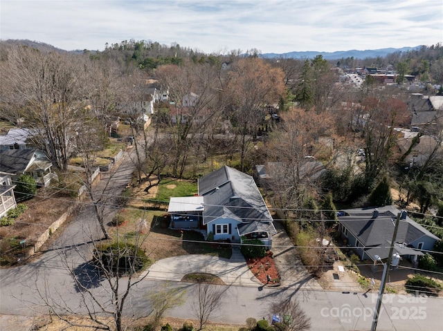 7 Temple Ave, Asheville, NC 28804 - photo 35